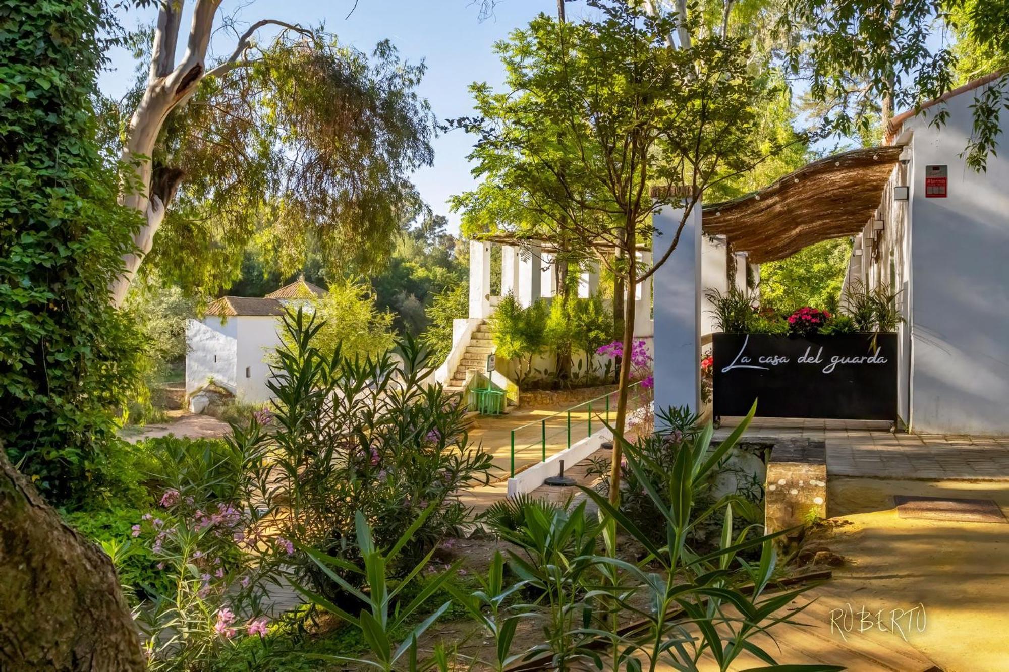 Apartamento Nuevo Centrico Con Aparcamiento Privado Incluido Алькала-де-Гуадаїра Екстер'єр фото